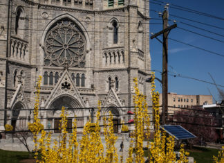Catholic Officials on Edge After Reports of Priests Using Grindr – The New York Times