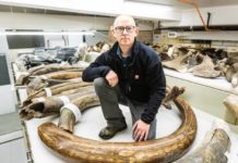 In The Footsteps Of A Woolly Mammoth, 17,000 Years Ago – Towleroad