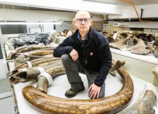 In The Footsteps Of A Woolly Mammoth, 17,000 Years Ago – Towleroad