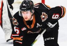 Luke Prokop: Nashville star becomes first active player to come out as gay – BBC Sport