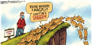 Would Ewe Rather Be a Lamb or a Lemming? – Santa Barbara Independent