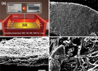 Biochar as a low-cost, eco-friendly, and electrically conductive material for terahertz applications | Scientific Reports – Nature.com