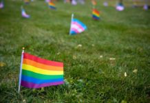 Celebrating the Past and the Future with LGBTQ+ History Month – Syracuse University News