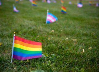 Celebrating the Past and the Future with LGBTQ+ History Month – Syracuse University News