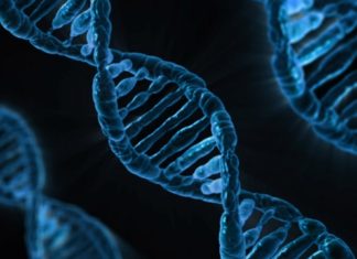 DNA helps solve 1977 teen murders in Lane County – KOIN.com