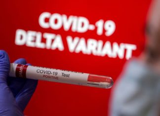 Explainer – Beyond Delta, Scientists Are Watching New Coronavirus Variants – Towleroad