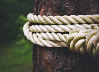 French mayor attacked, stripped, and tied to tree at gay cruising spot – Metro Weekly