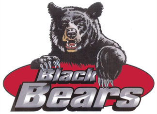Gay leads Lady Bears to first season win – Harlan Enterprise | Harlan Enterprise – Harlan Enterprise