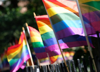 Gay Teacher Resigns From Missouri School After Being Forced to Take Down Pride Flag – Newsweek