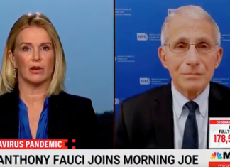 MSNBC guest Katty Kay tells Fauci it seems ‘crazy’ she can travel US without vaccine proof – Fox News