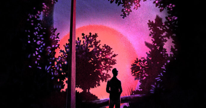 Opinion | Roxane Gay: