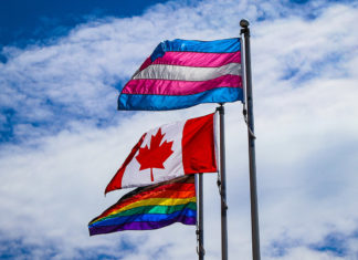 Queer and Trans Research Lab opens at University of Toronto’s Bonham Centre for Sexual Diversity Studies – Mirage News