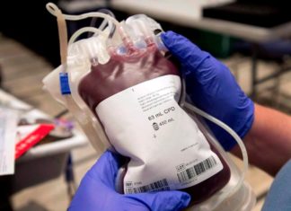 Trudeau expects to overturn blood donation ban for gay, bisexual men soon – q107.com