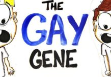 WATCH: What Does Science Actually Say About Whether There’s a Gay Gene? – ScienceAlert