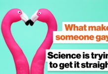 What makes someone gay? Science is trying to get it straight. – Big Think