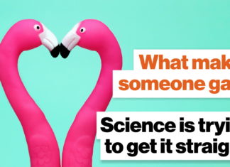 What makes someone gay? Science is trying to get it straight. – Big Think