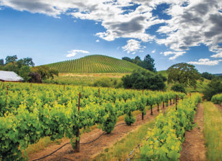 What’s New in Sonoma County, CA | PASSPORT Magazine | Gay Travel – PASSPORT Magazine