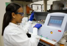 Why biological studies on queer people do more harm than good – Massive Science