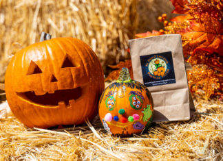 You Can Have Uber Deliver Pumpkins Right to Your Door for Halloween – Thrillist