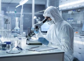 ARS confirms that farm animals are not susceptible to COVID-19 – The Pig Site