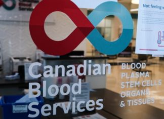Blood Ban: Canadian Blood Services eases some restrictions – CTV Toronto