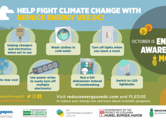 Committing to reducing energy use all year – Washington Blade