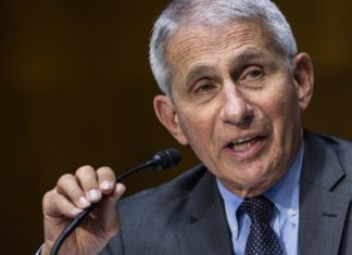 ‘Fauci’ film goes beyond the doctor to showcase vicious cycle of deadly outbreaks – People’s World