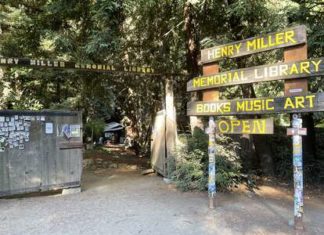 This One-of-a-Kind Bookstore Is Hidden in the Forest of Big Sur – Thrillist