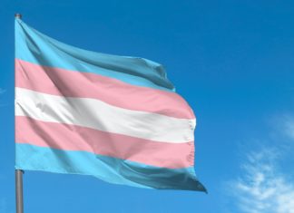 A Tory MP Called Trans-Inclusive Education “Brainwashing” – Bustle