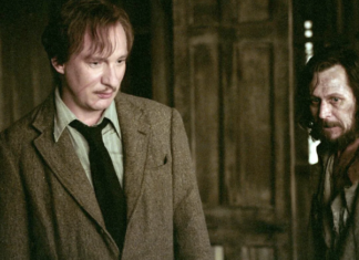 All the Young Dudes fanfic: The Harry Potter story about Remus and Lupin taking over TikTok. – Slate