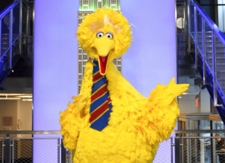 Big Bird vaccination ruffles right wing feathers | News, Sports, Jobs – Williamsport Sun-Gazette