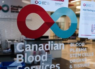 Canadian Blood Services to soon recommend end to ban on gay men donating blood – CP24 Toronto’s Breaking News