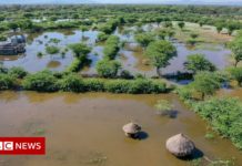 Climate change: Voices from global south muted by climate science – BBC News