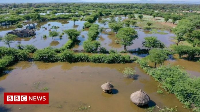 Climate change: Voices from global south muted by climate science - BBC News