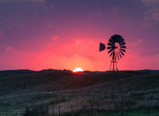 Here and Queer in Rural America – Ms. Magazine