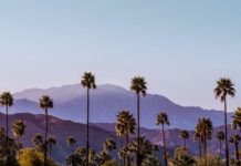 How to Find the Best Destinations for LGBTQ+ Travelers – Condé Nast Traveler