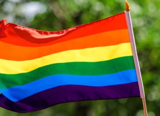 Louisville should do better for trans youth and be a place for them to blossom | Opinion – Courier Journal