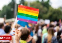 No single gene associated with being gay – BBC News