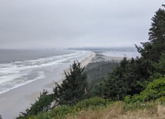 Taking the Loop Less Traveled on the Oregon Coast – The New York Times