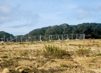 Vineyard Tribe Makes a Bid for State Gaming License – The Vineyard Gazette – Martha’s Vineyard News
