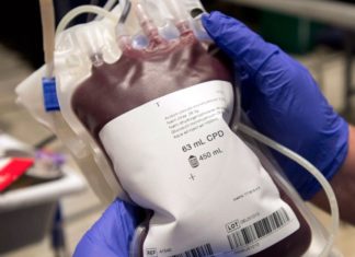 ‘Wasn’t reliable science’: Canadian Blood Services prepares to drop longtime ban on blood donations – CTV News Atlantic