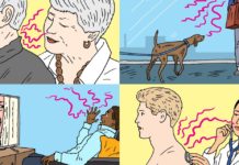 What Your Smell Says About You – The Wall Street Journal