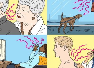 What Your Smell Says About You – The Wall Street Journal