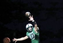 Wildcats well represented on All-Southeast District list – Marietta Times