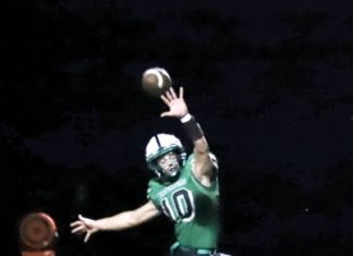 Wildcats well represented on All-Southeast District list – Marietta Times