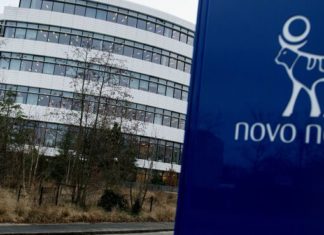 Gay Novo Nordisk Director Fired for Harassment Lacks Bias Proof – Bloomberg Law
