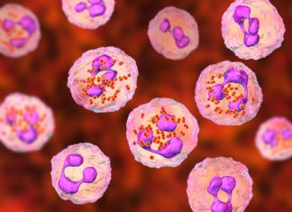 6 Dead amid Meningococcal Disease Outbreak Affecting Gay and Bisexual Men in Florida: CDC – Yahoo Entertainment