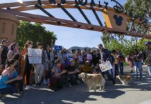 Alabama governor signs anti-LGBTQ measures into law – Axios