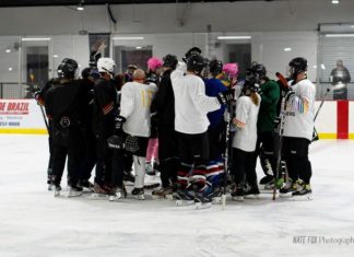 Arizona Coyotes aim to bring more LGBTQ+ adults to hockey with learn-to-play programs – The Arizona Republic
