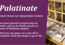 Bi-ology: the science of bisexuality and bi-erasure – Palatinate